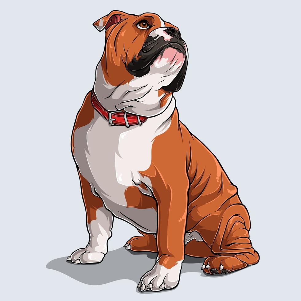 Lindo perro bulldog inglés marrón sentado aislado vector