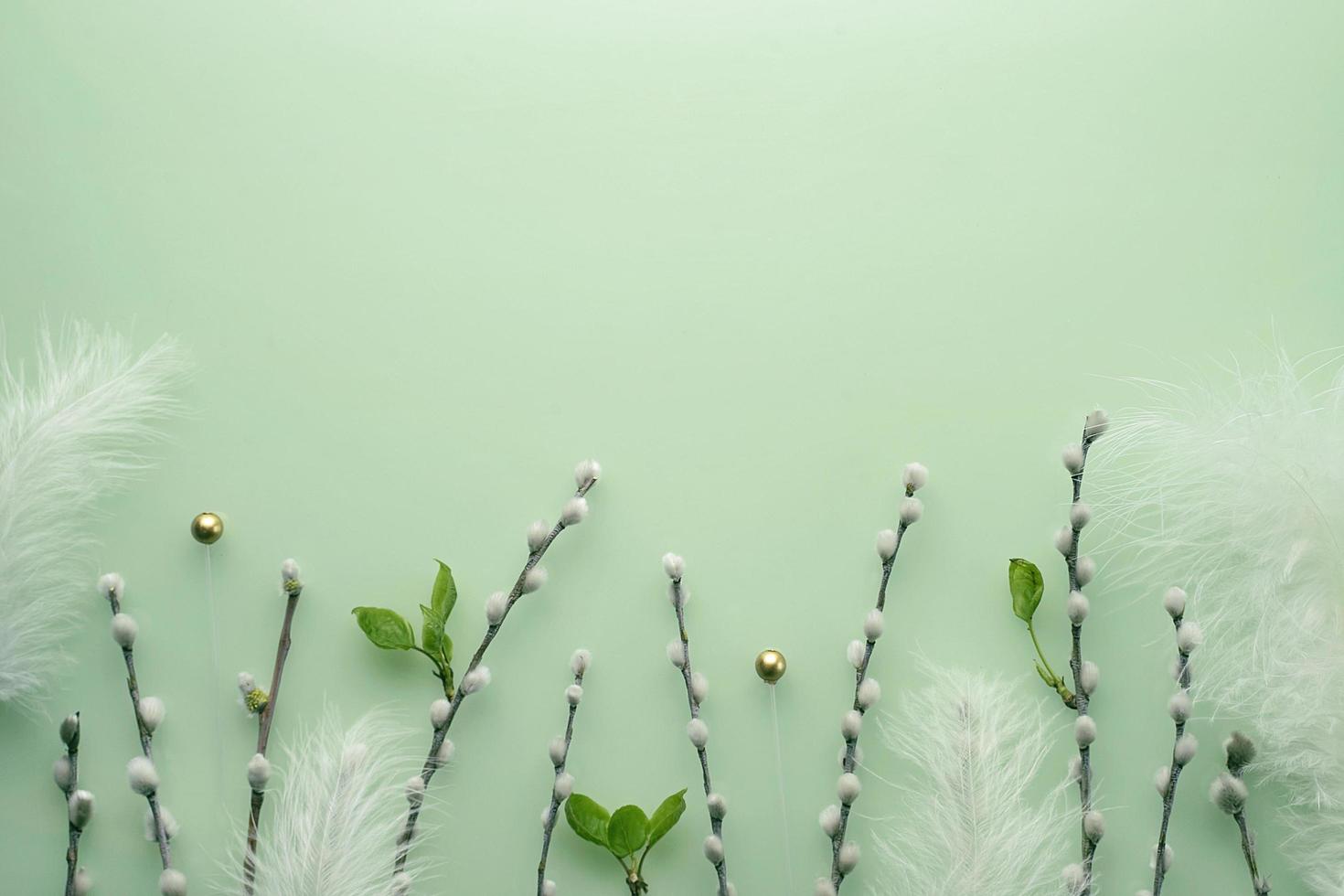 Delicate Easter background with pussy-willow twigs. Orthodox Easter. Willow Sunday photo