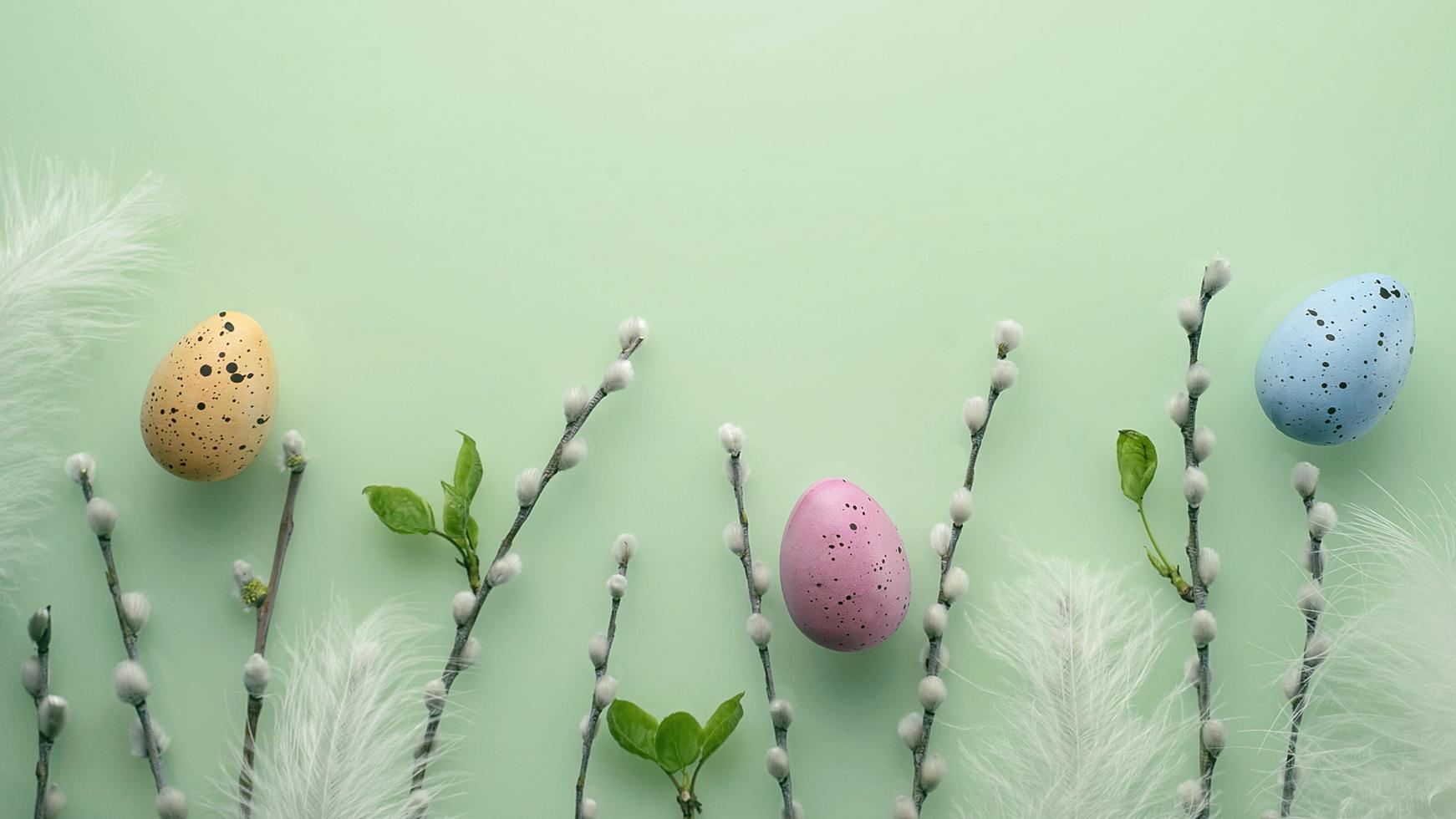 Delicate Easter background with pussy-willow twigs. Orthodox Easter. Willow Sunday photo