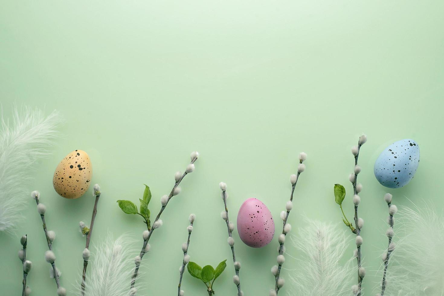 Delicate Easter background with pussy-willow twigs. Orthodox Easter. Willow Sunday photo