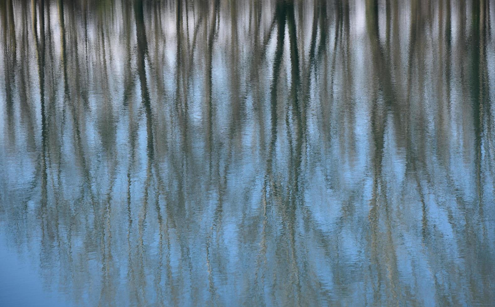 reflejos sobre el agua foto