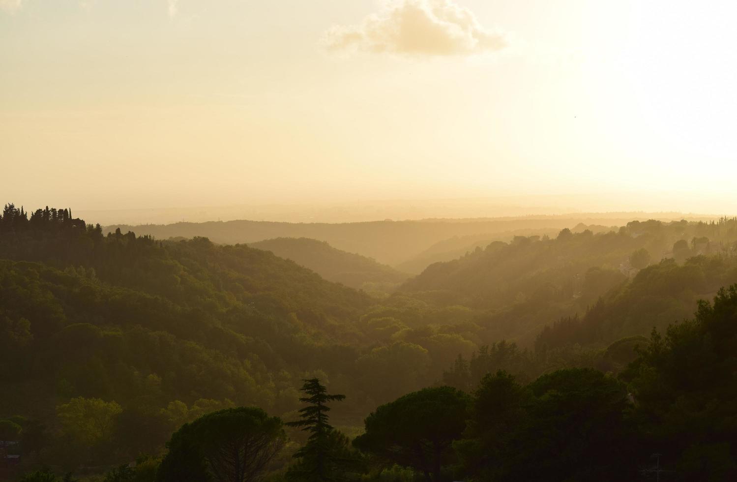 montaña del bosque durante la puesta de sol foto