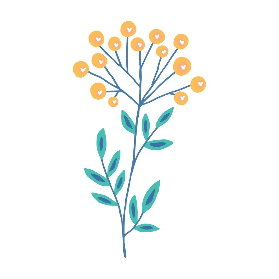 ilustración vectorial. linda planta con flores amarillas. tanaceto aislado sobre fondo blanco. vector