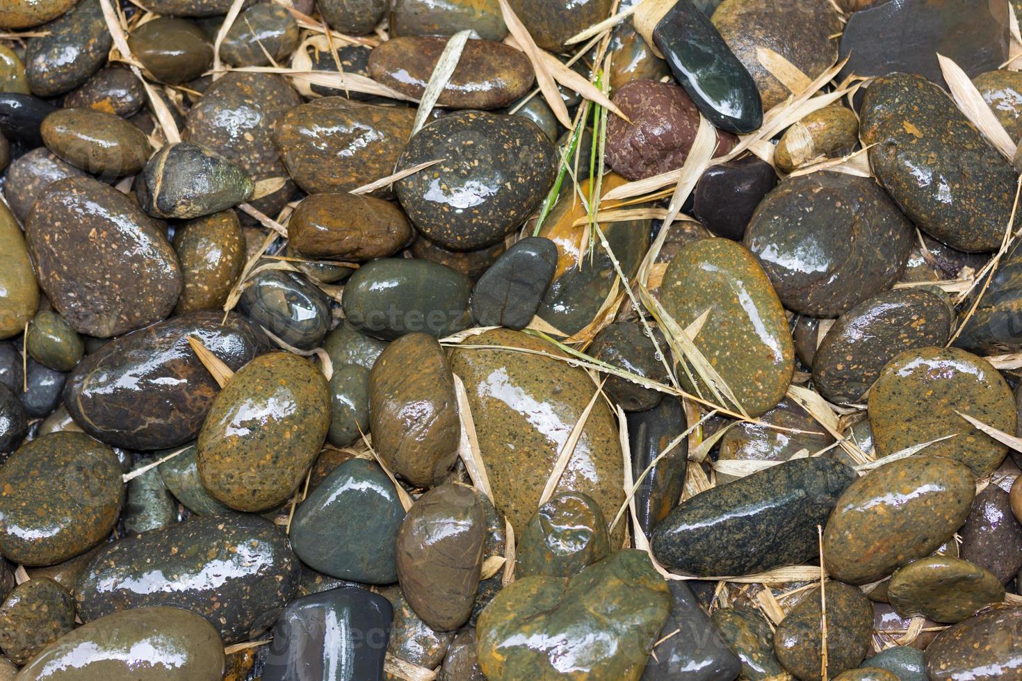 piedras de río mojadas y hojas de bambú foto