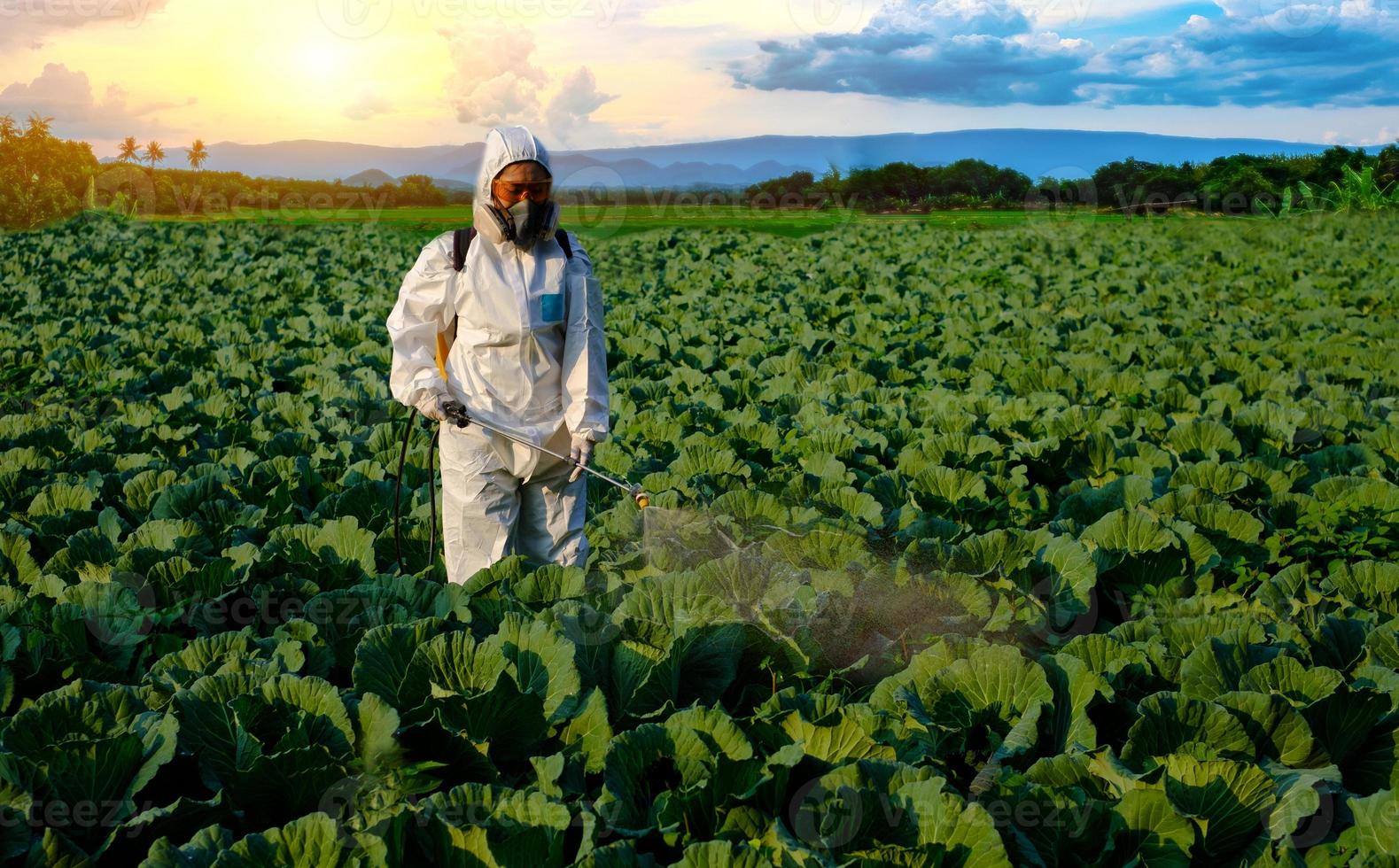 Gardener in a protective suit spraying fertilizer photo