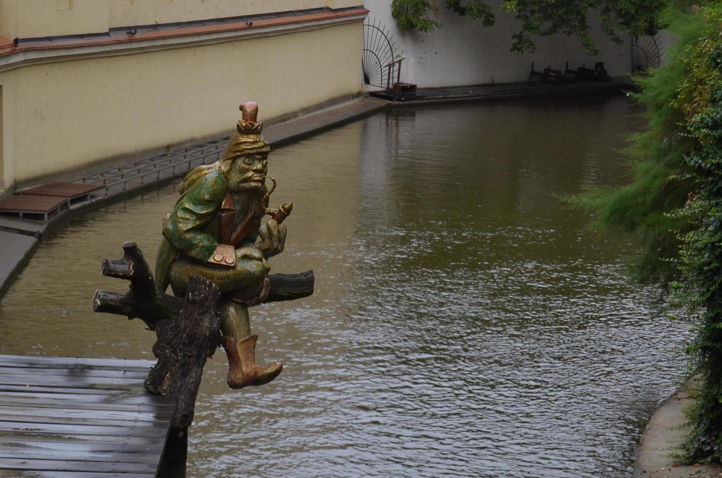 ogro sentado cerca del río. foto