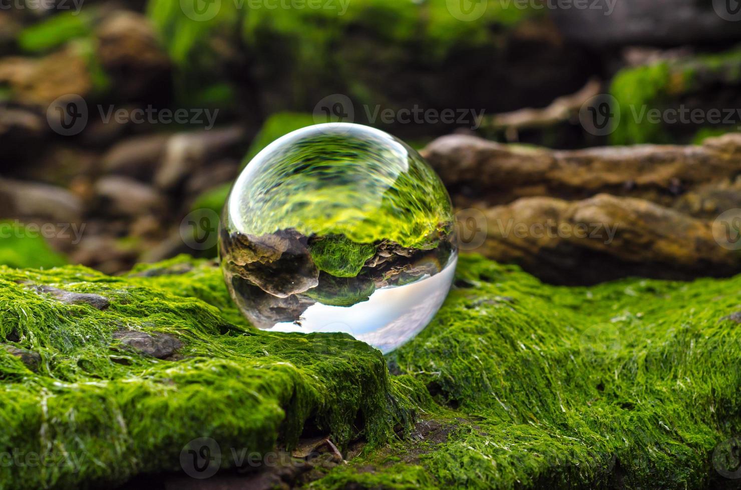 Glass ball on moss photo