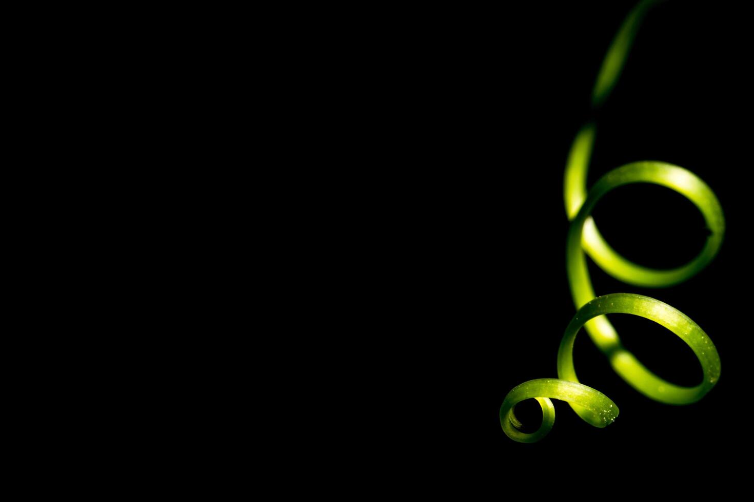 Top of a gourd on a black background photo