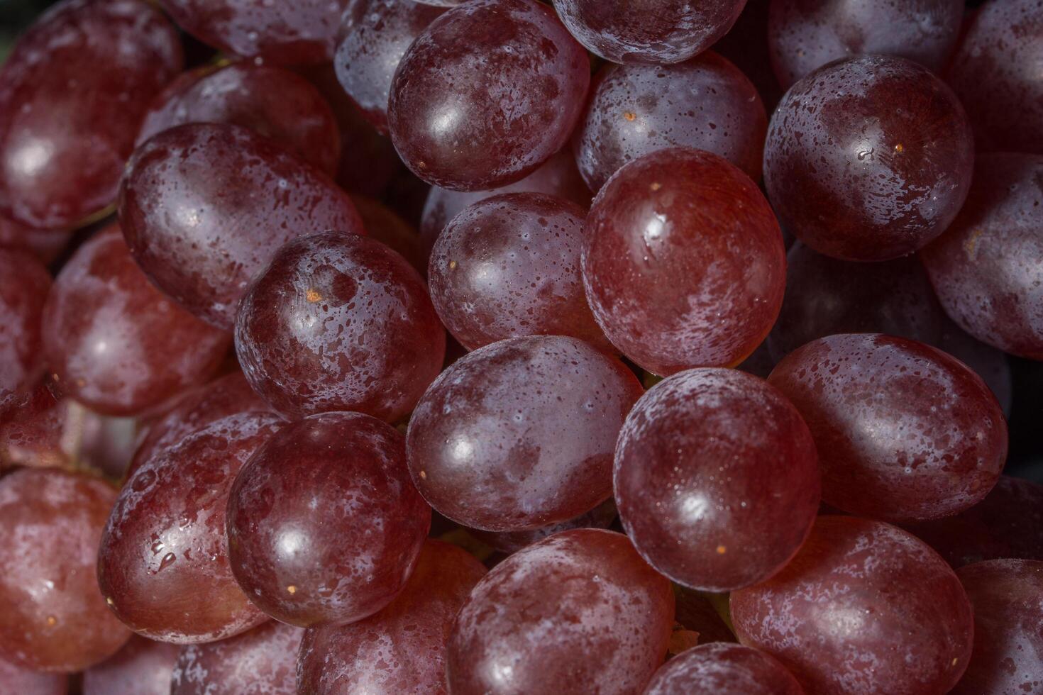 Macro de cerca de uvas con gotas de agua foto