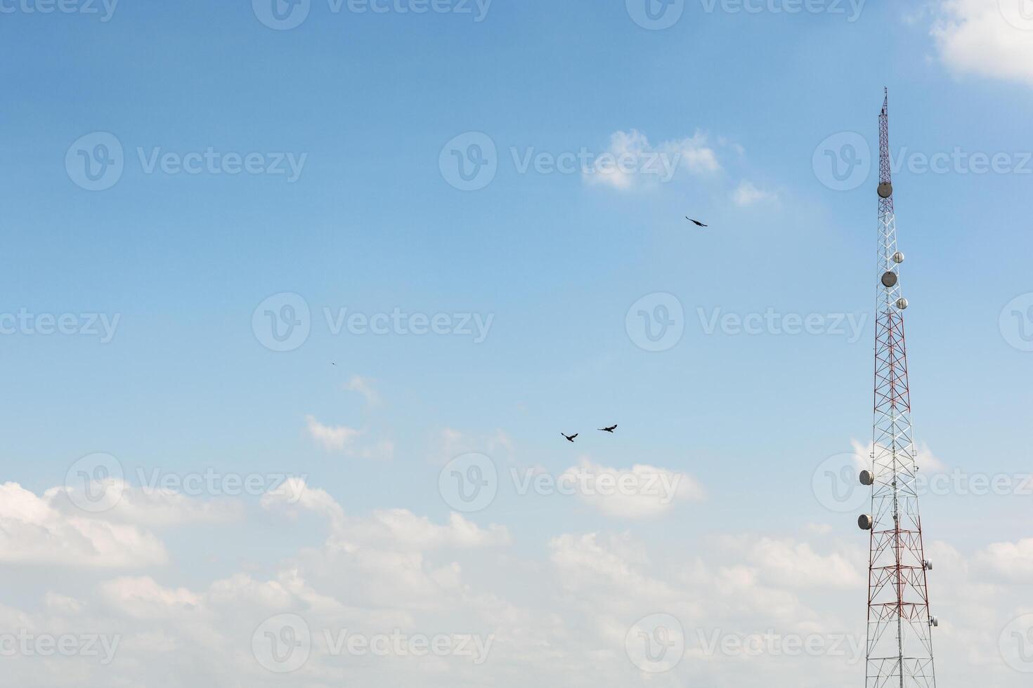 A tower with birds flying in the sky photo