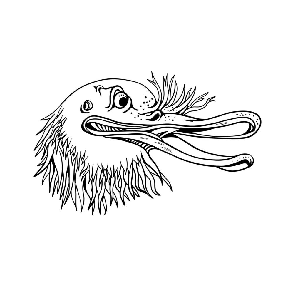 Angry Kiwi Bird Head Cartoon Black and White vector