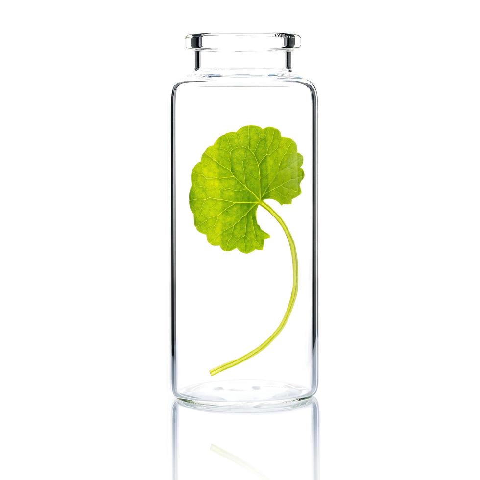 Homemade skin care with centella asiatica in a glass bottle isolated on a white background photo