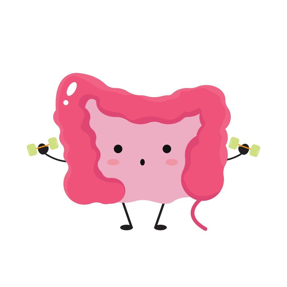 Kawaii guts exercise. Healthy guts concept. vector