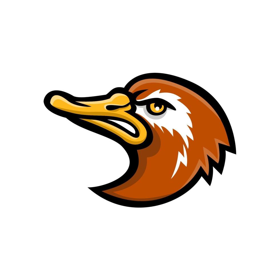 Mascot icon illustration of head of an angry and aggressive Laysan duck, side view vector