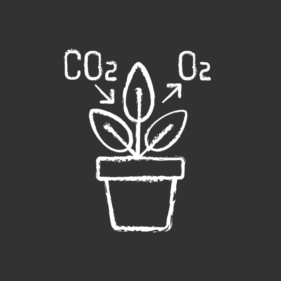 Air purifying plant chalk white icon on black background vector