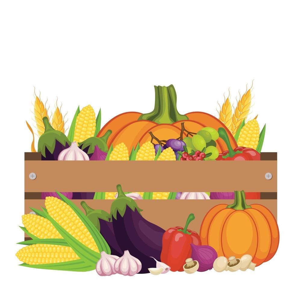 Thanksgiving day harvest design vector