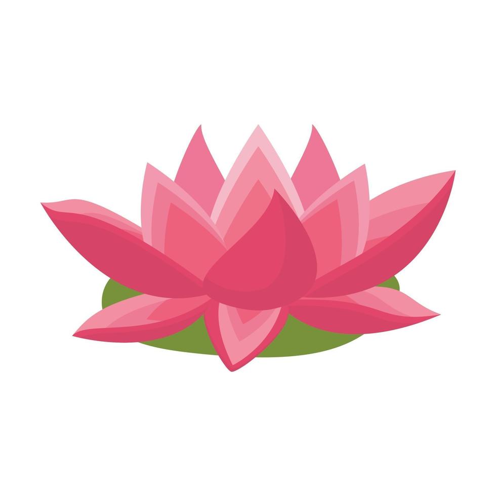 pink lotus flower 2227982 Vector Art at Vecteezy