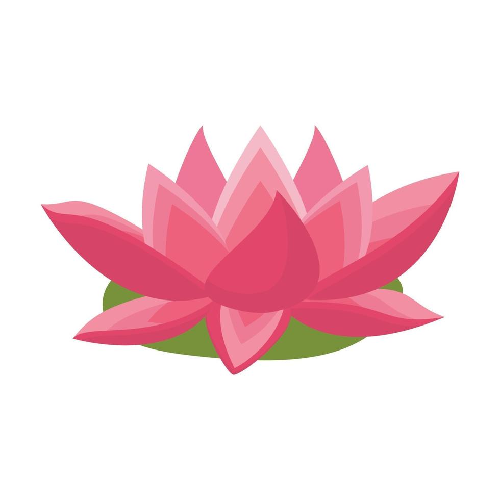 pink lotus flower vector