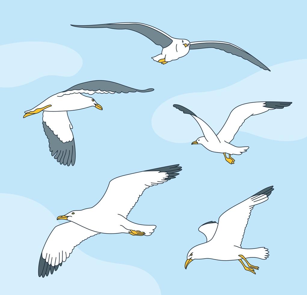 Various seagulls' movements. hand drawn style vector design illustrations.