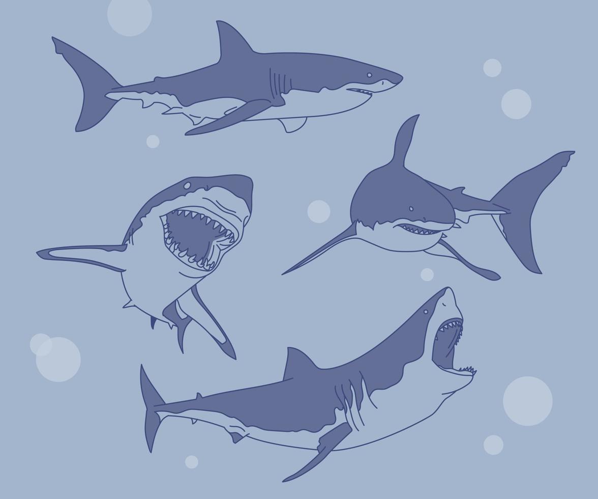 A collection of various actions of sharks. hand drawn style vector design illustrations.