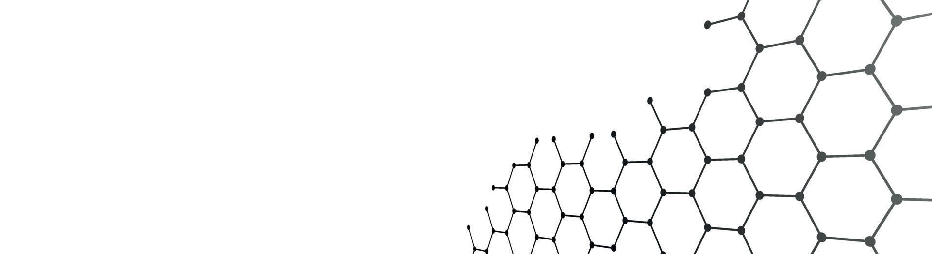 Black hexagons on a white background - Vector