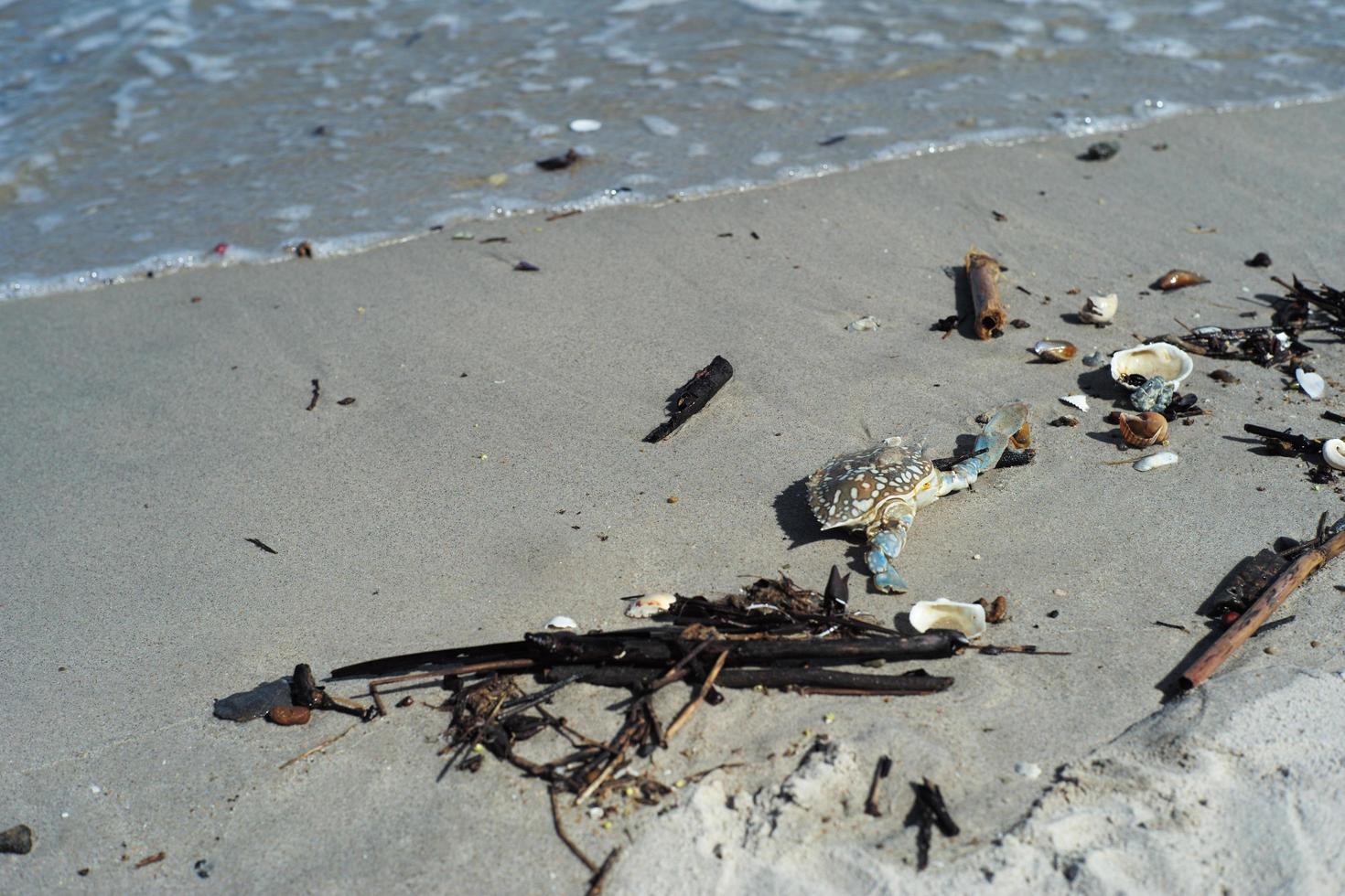 Closeup picture of wave hitting the sandy beach with wooden stick and garbage on the coast photo