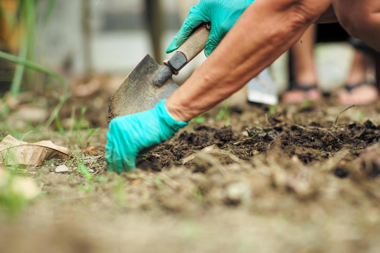 Selective focus on hand of gardener removing weeds photo