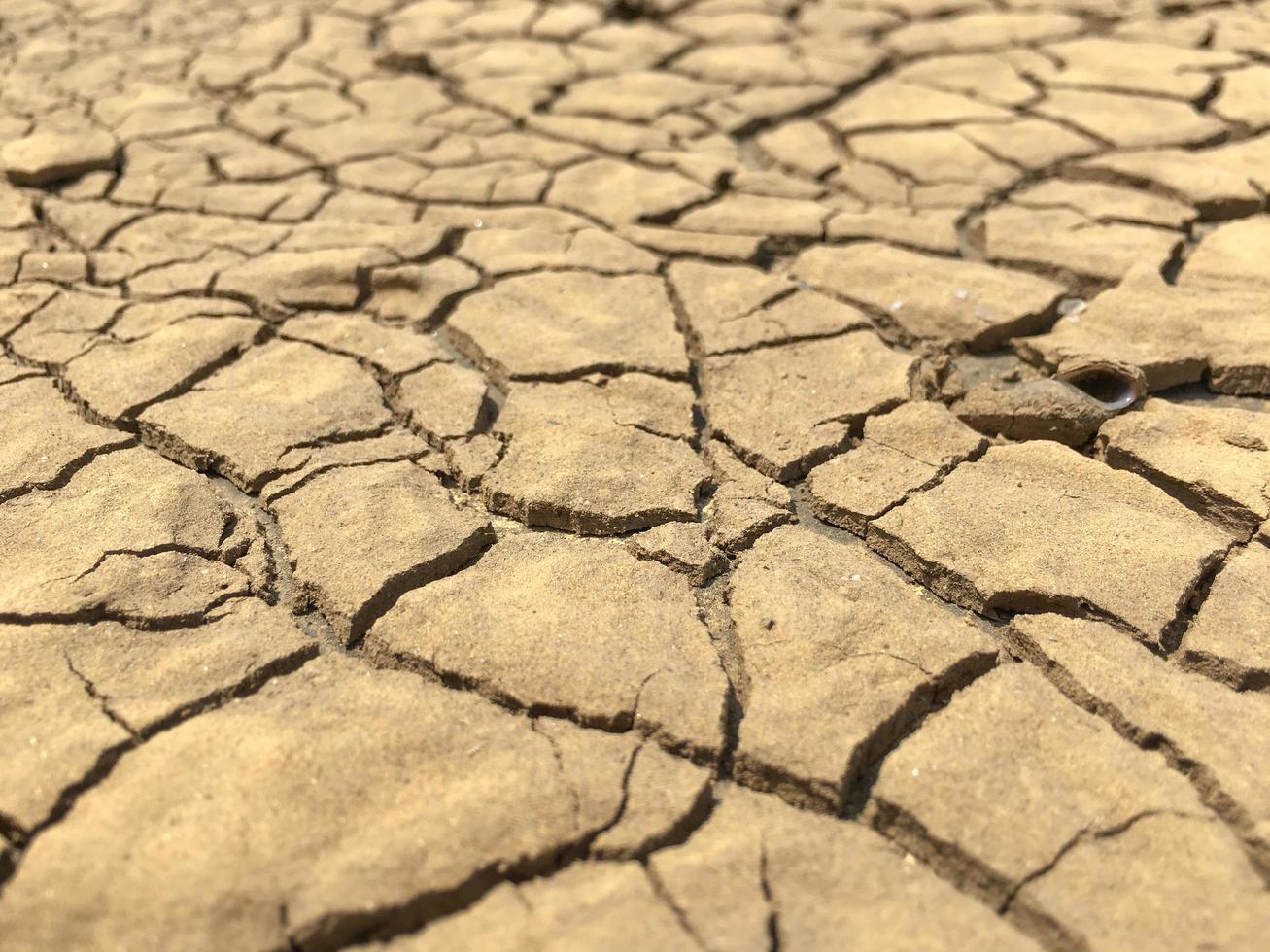 Broken dried mud from arid problem photo