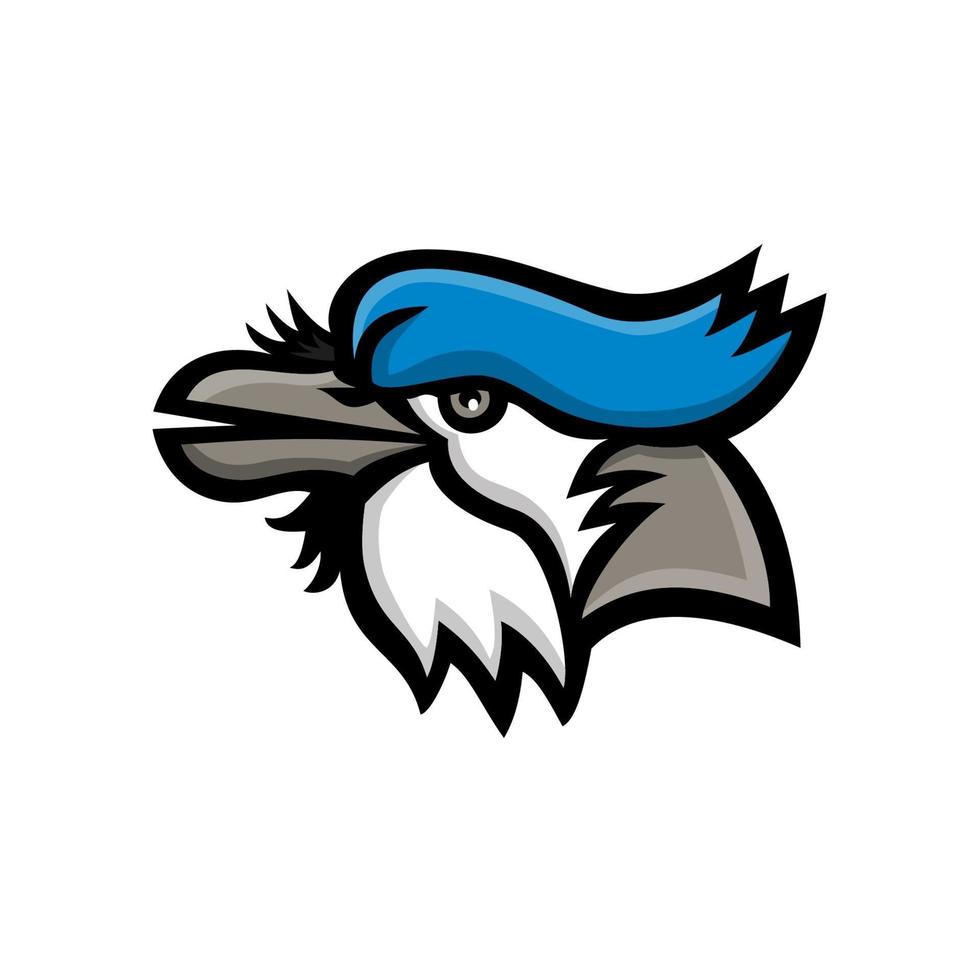 Mascot icon illustration of head of a blue jay bird vector