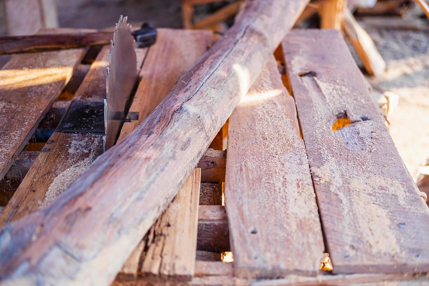 Wooden log and saw photo