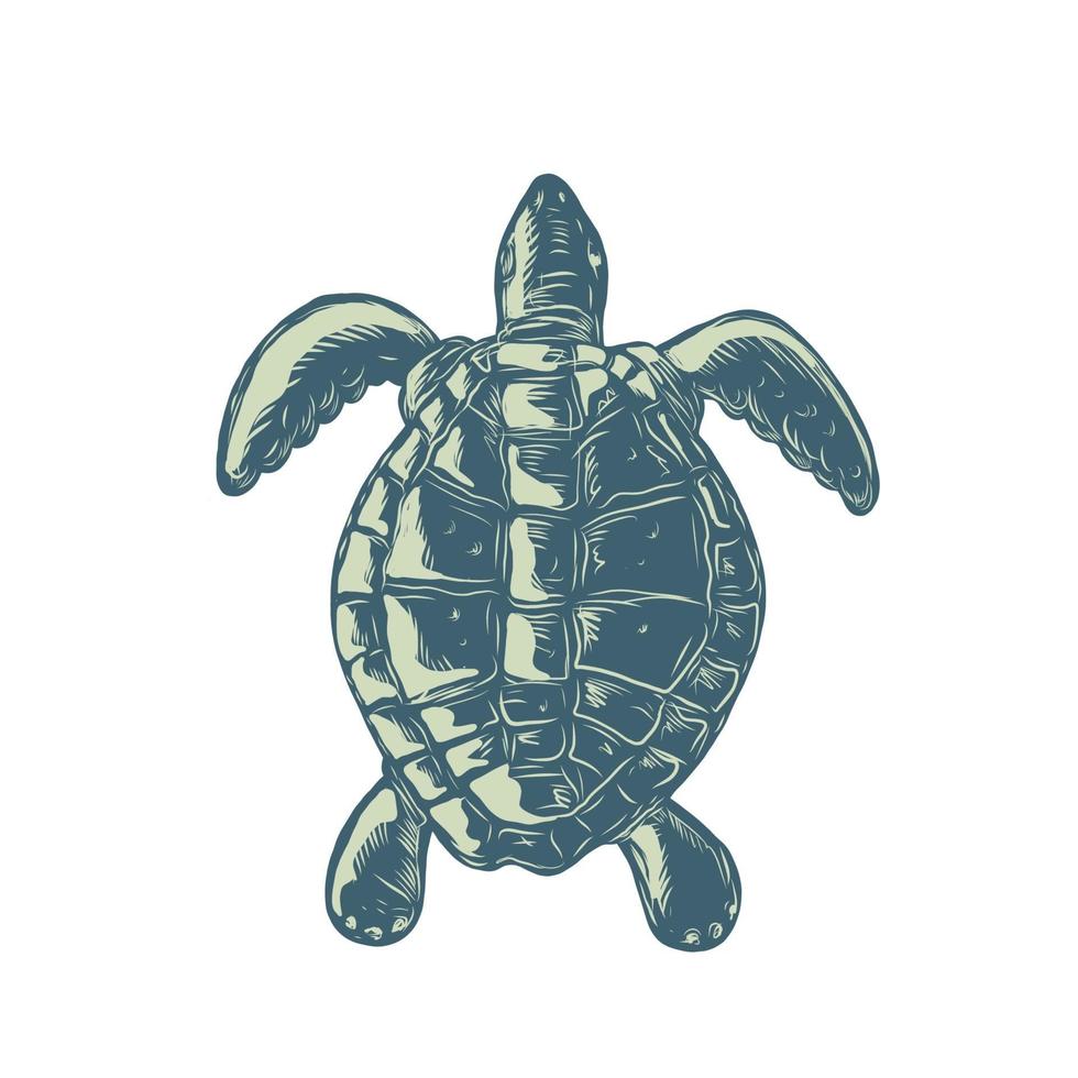 Ilustración de estilo scratchboard de una tortuga marina nadando vector