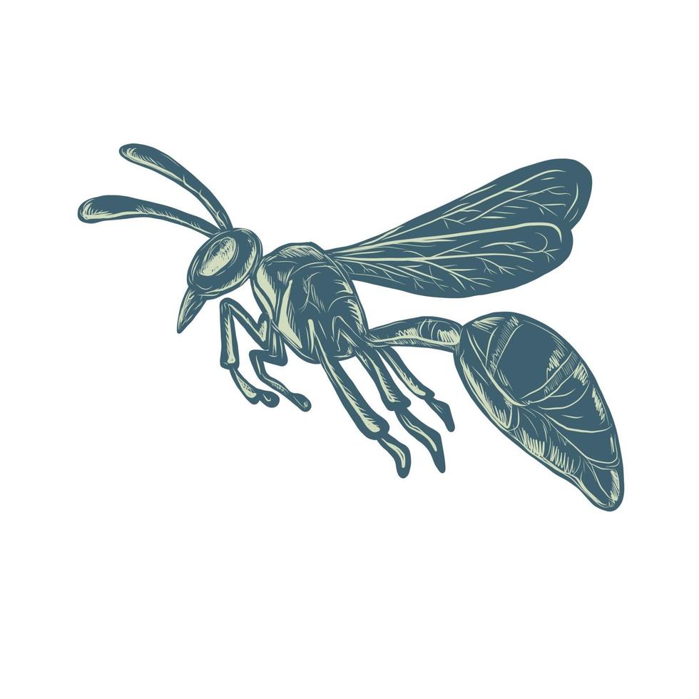 Yellowjacket flying, side view vector