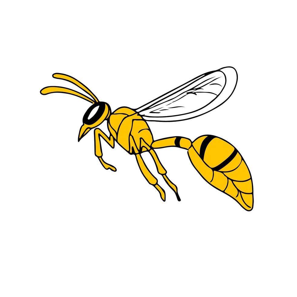 Wasp Flying Drawing vector