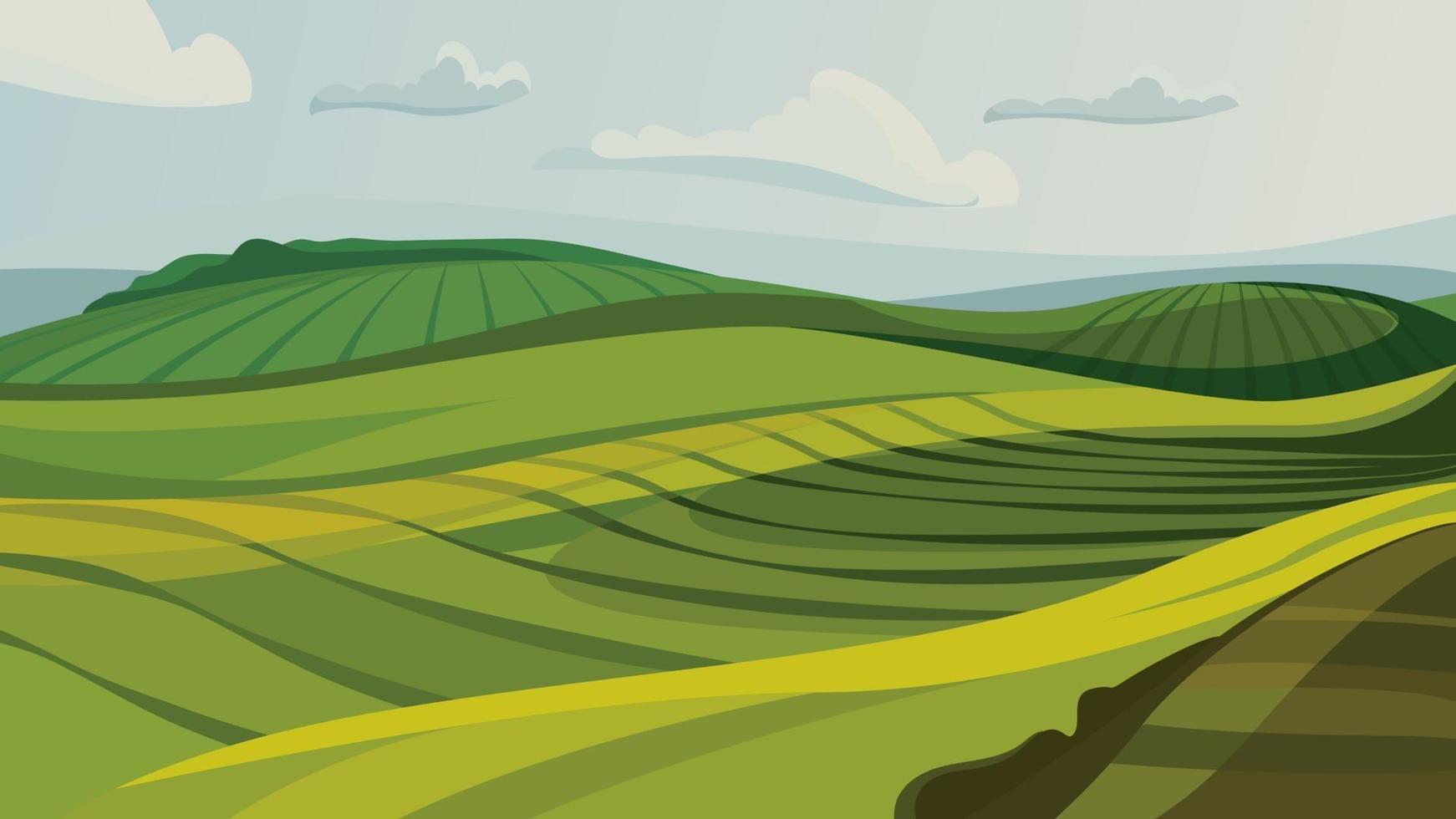 Green agricultural fields. vector