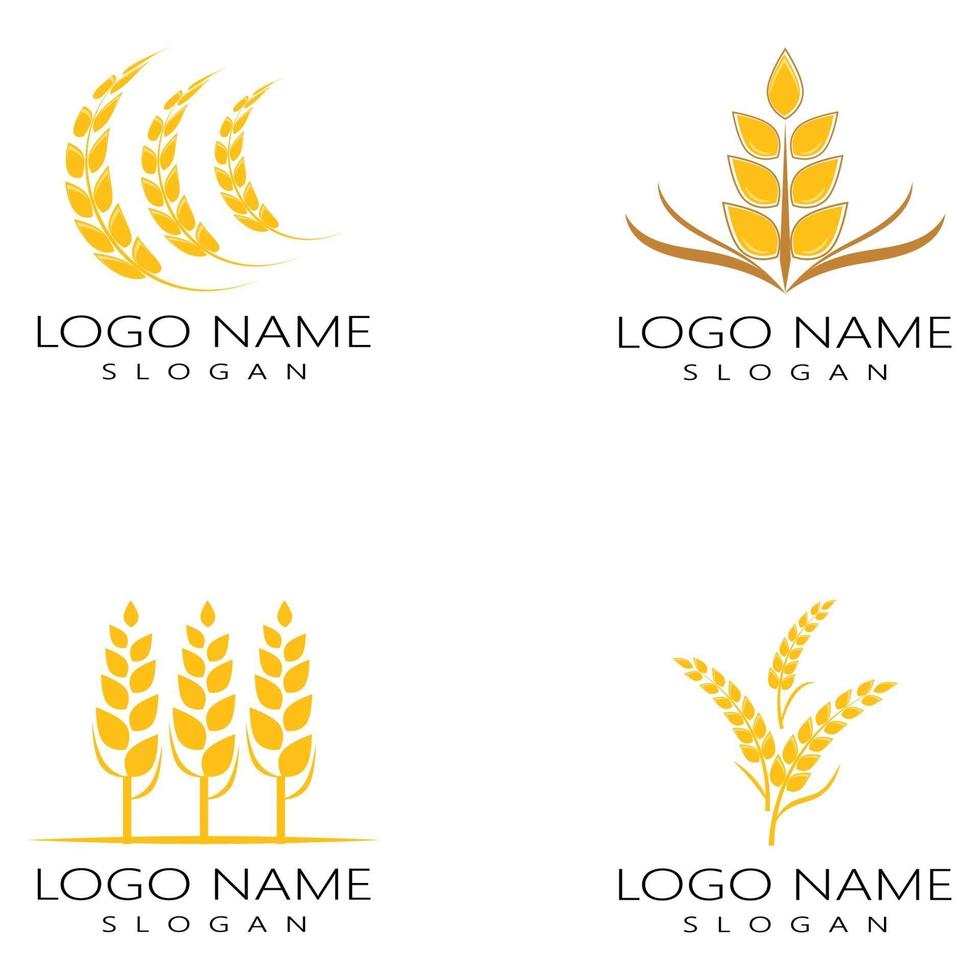 conjunto de diseño de icono de vector de trigo de agricultura
