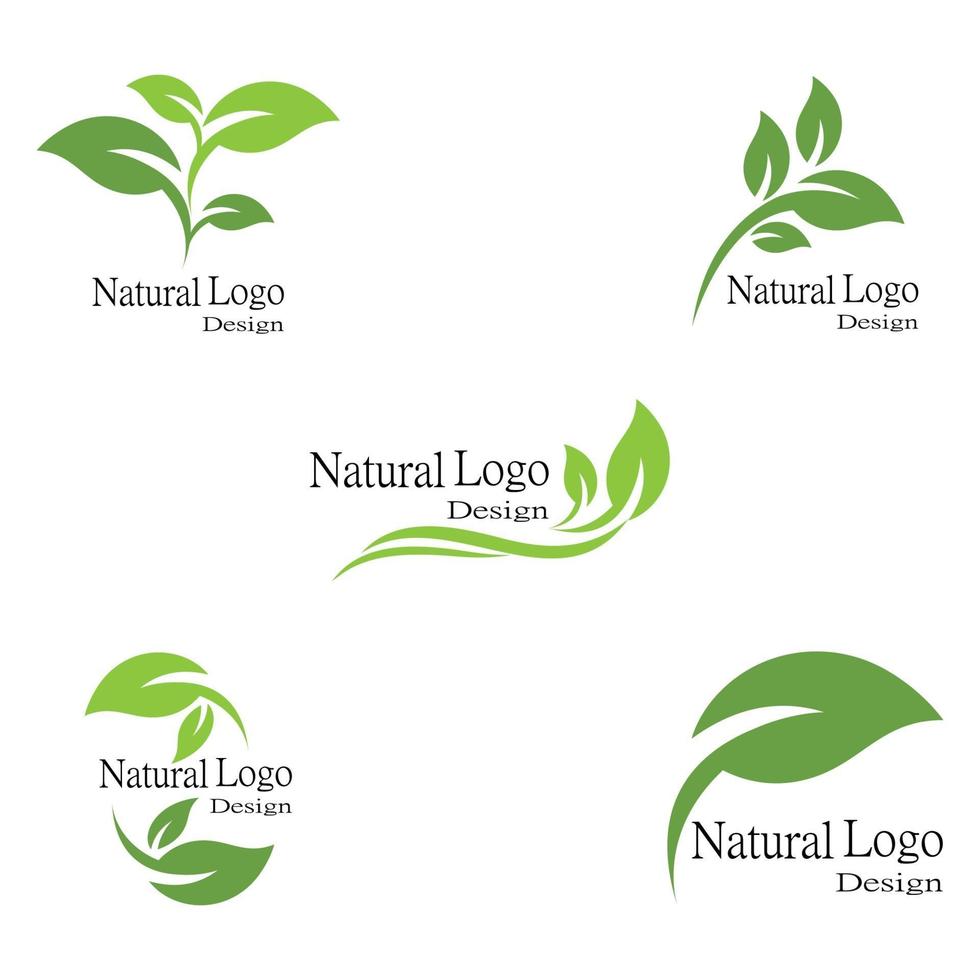 Leaf icon Vector Illustration design Logo template set