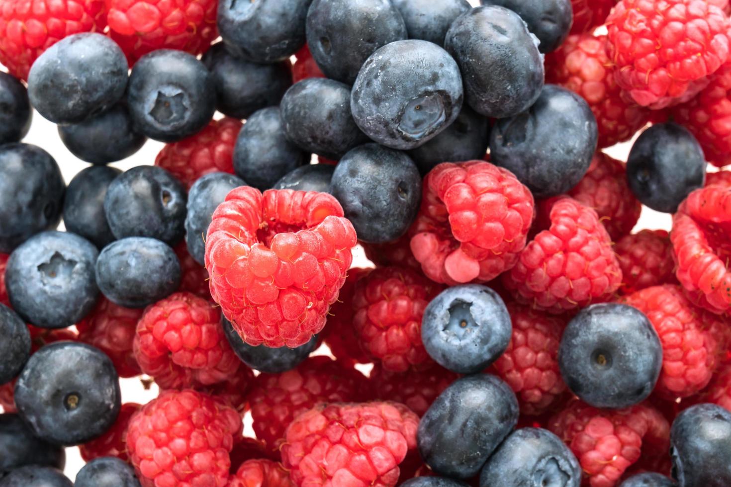 Blueberry and Rasberry fruit photo