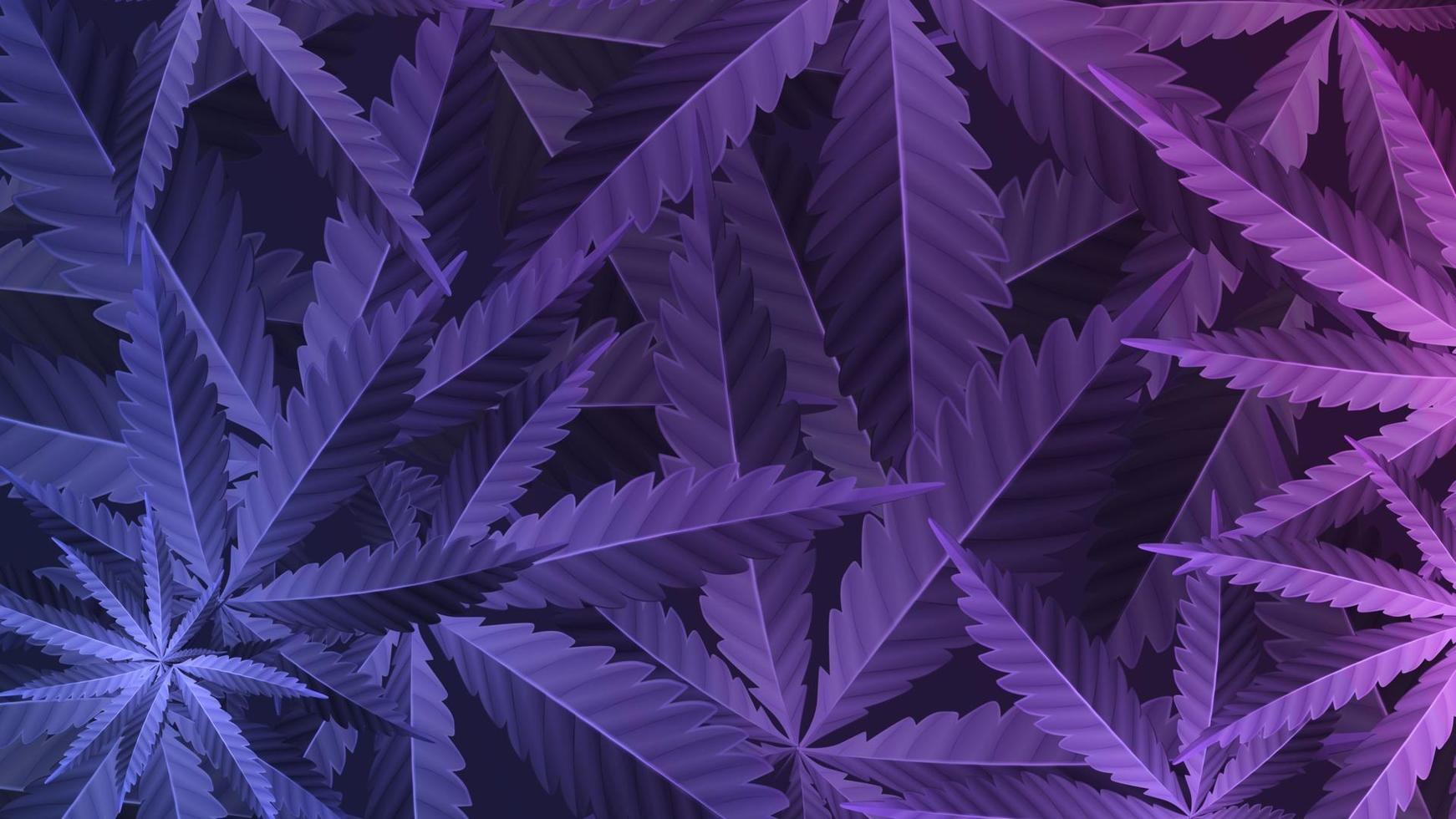 Purple leafs of cannabis plant, wallpaper with marijuana plant, top