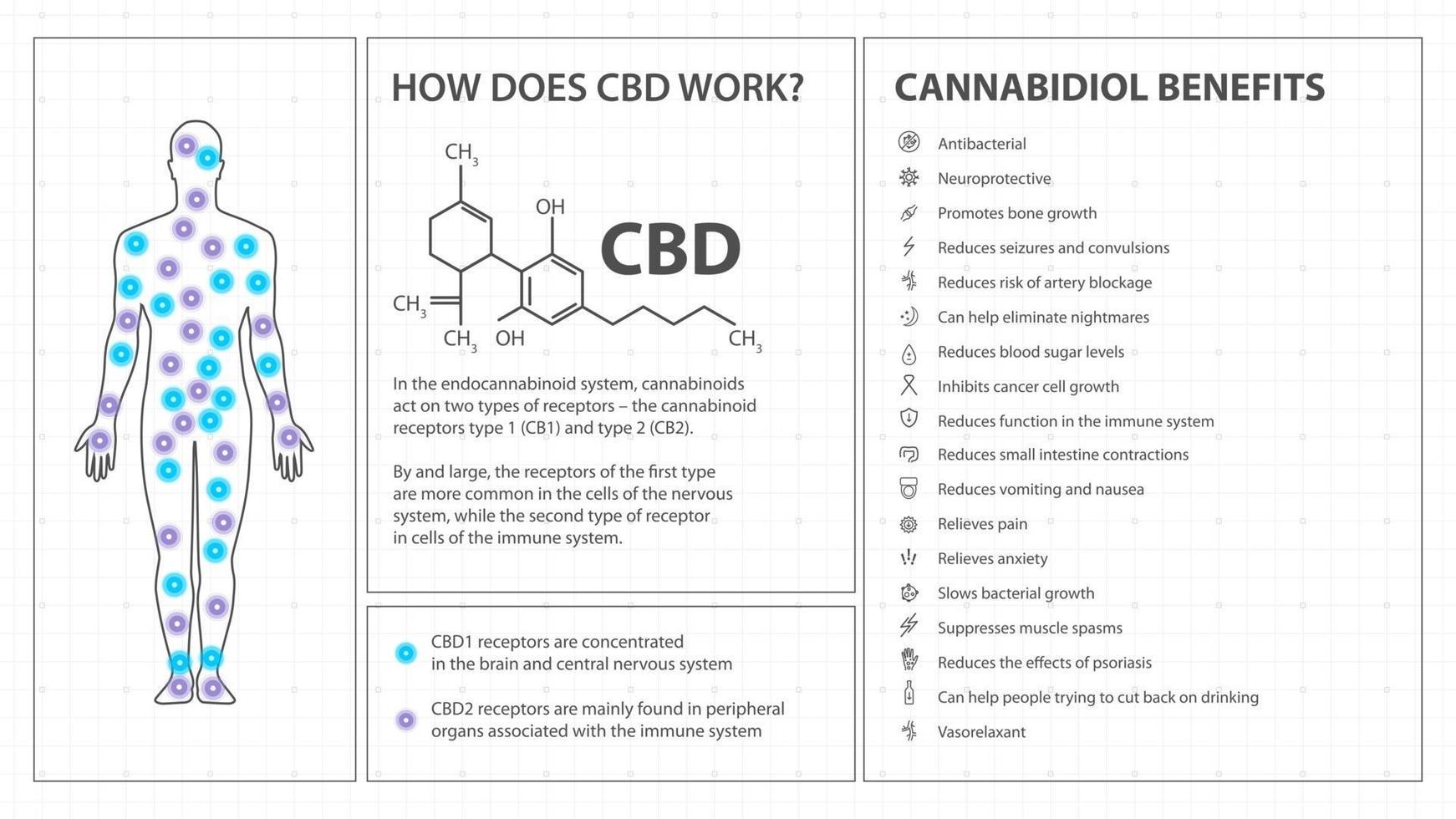 How does CBD works, white poster in minimalism style with infographics, cannabidiol chemical formula and cannabidiol benefits list vector