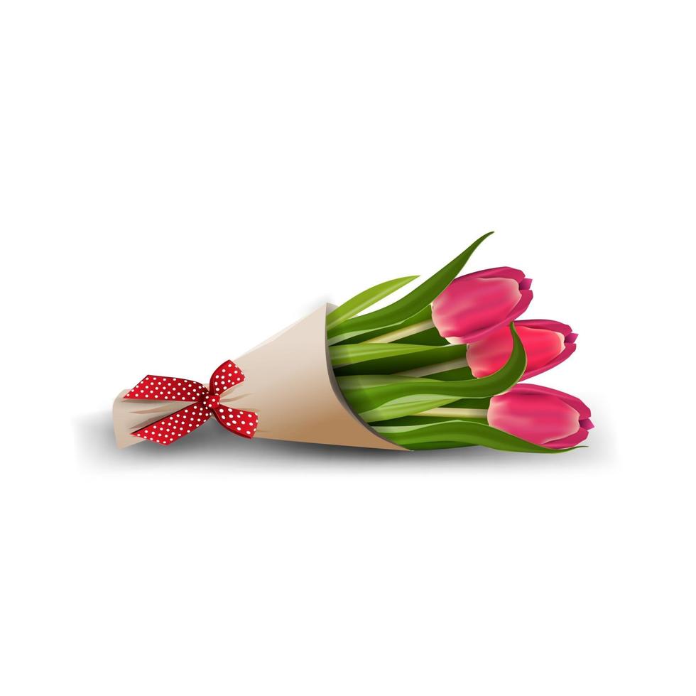 Bouquet of tulips isolated on a white background for your creativity vector