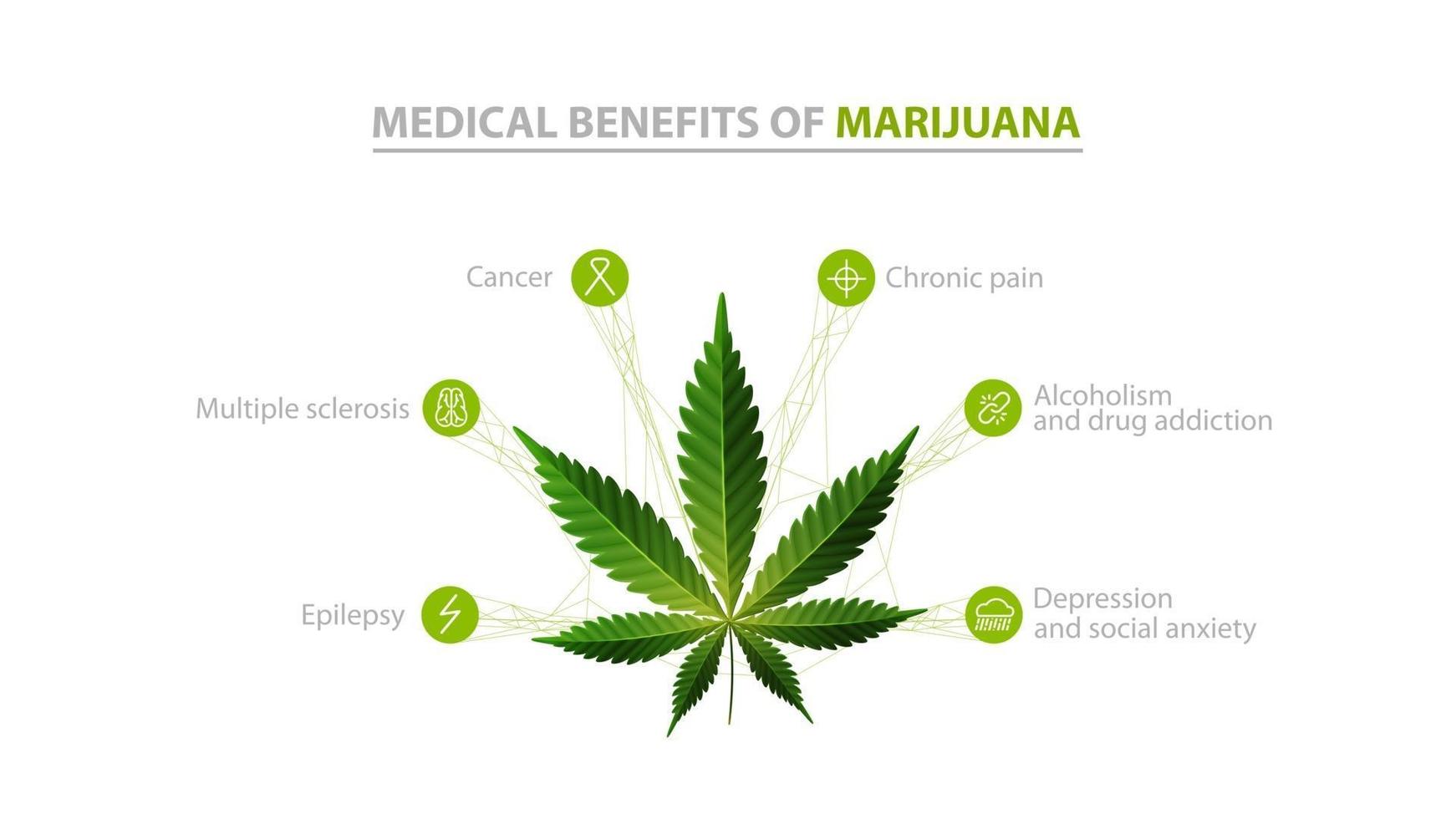 Medical benefits of marijuana, white information poster with icons of benefits and green leafs of cannabis vector