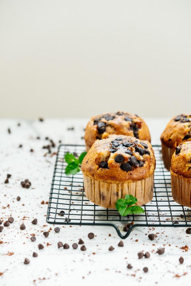 Chocolate chip muffin photo