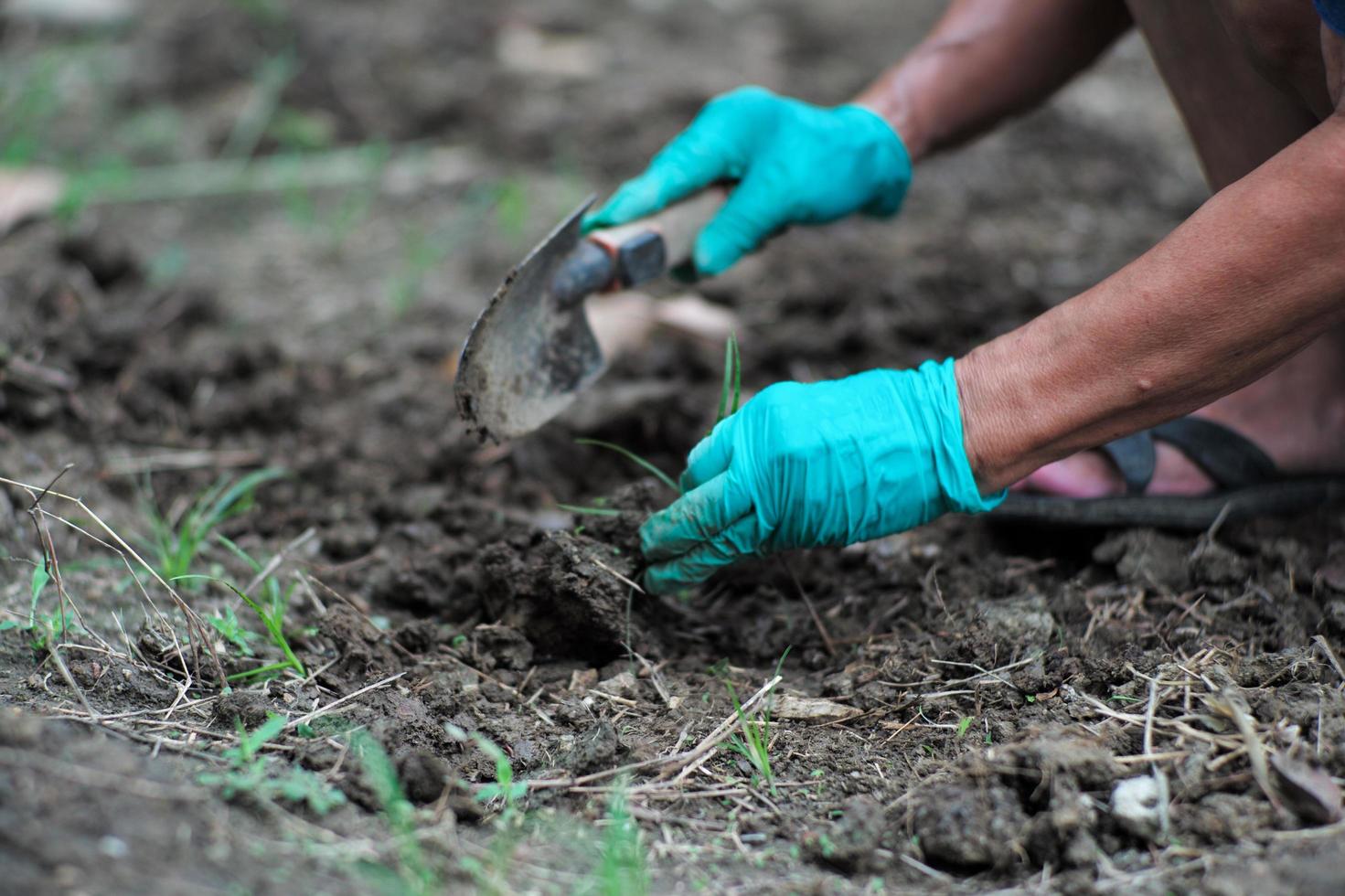 Movimiento borroso de las manos del jardinero quitando las malas hierbas del suelo foto