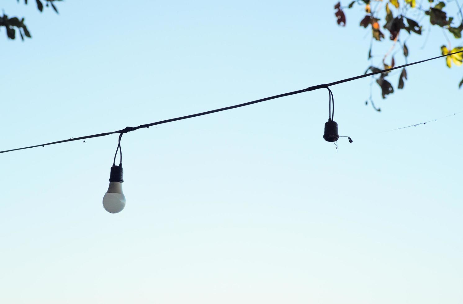 Selecitve focus light bulbs hanging on the electricity wire with blurred leaves and clear sky in background photo