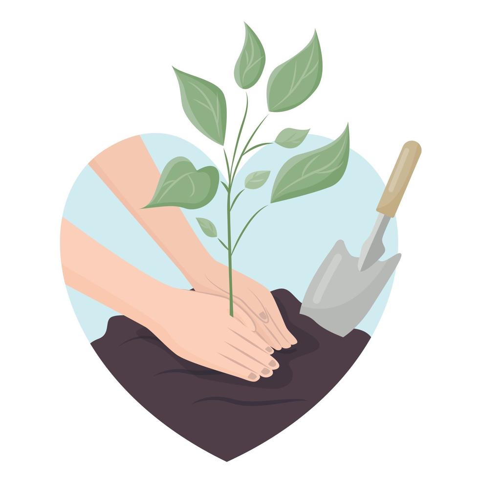 Human palms cover the ground with a young plant shoot. Concepts concern for the environment, opposition to deforestation, planting plants. Vector illustration in a flat style.