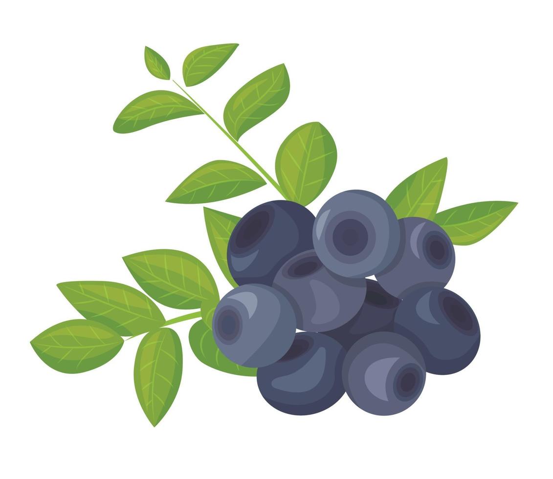 A branch of ripe blueberries, isolated on a white background. Beautiful juicy berries surrounded by bright foliage. Kitchen utensils design element. Vector illustration