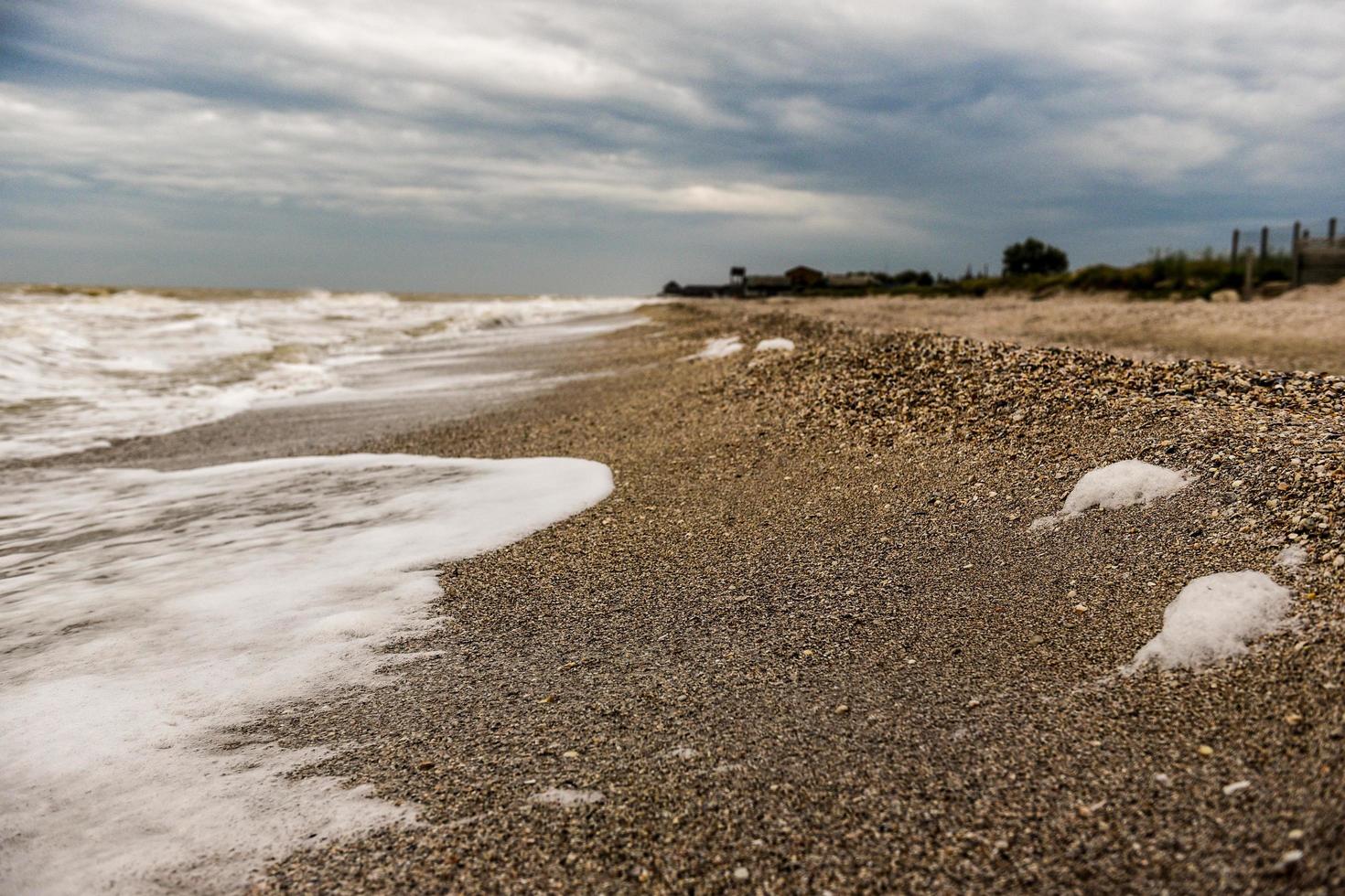 Coastline of seashells on a background of sea and blue sky photo