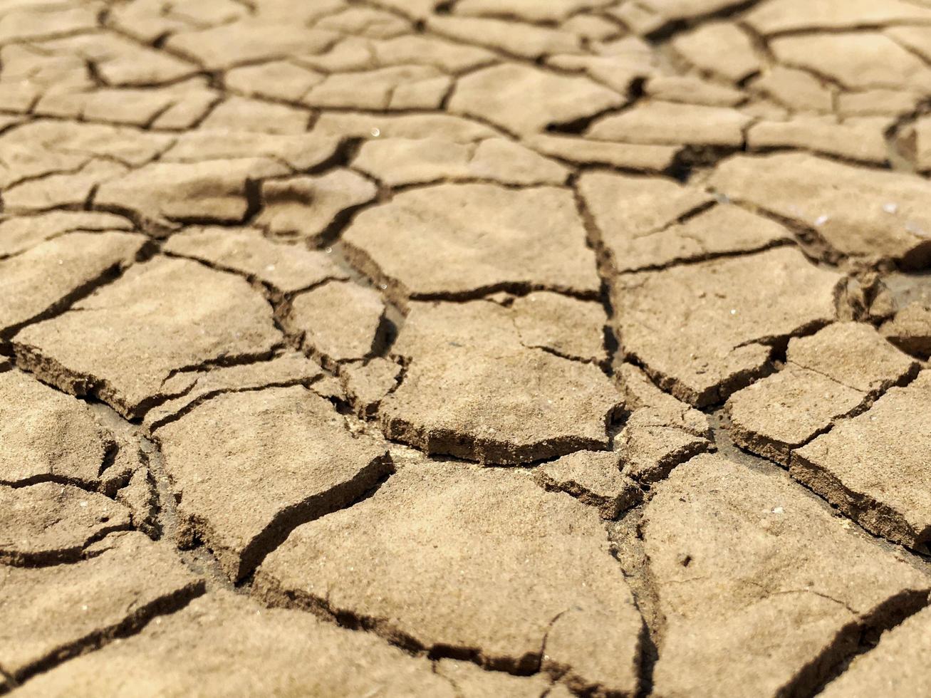 Primer plano de textura desgastada y fondo de árido suelo agrietado foto