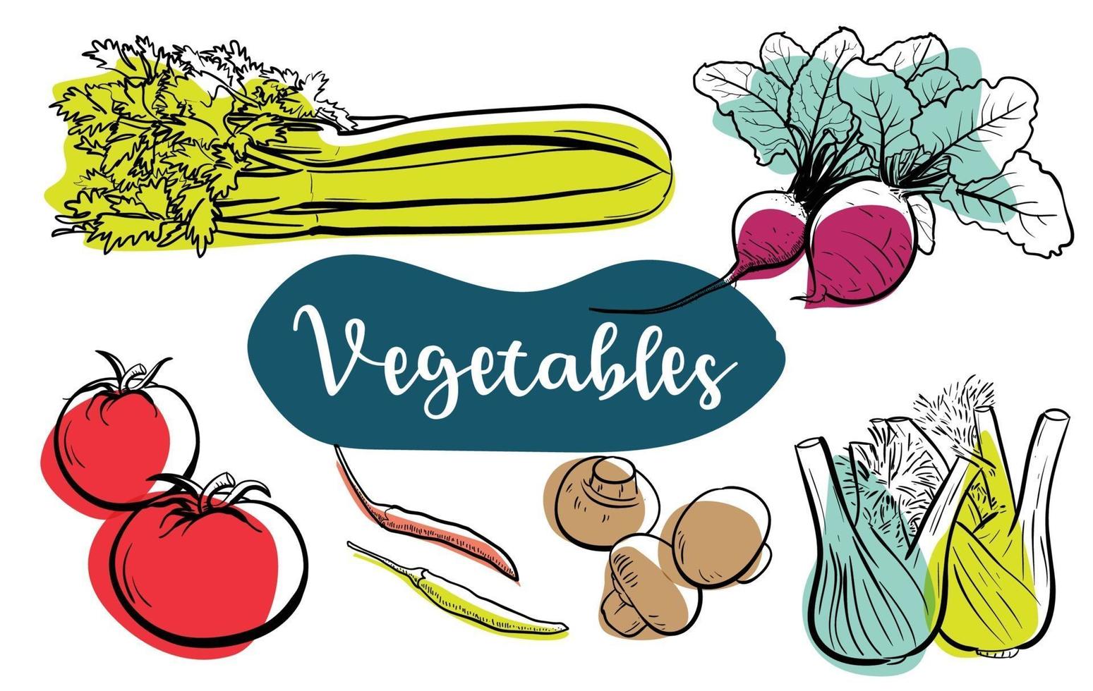 ilustración de arte de línea vegetal comida natural vegetariana saludable vector