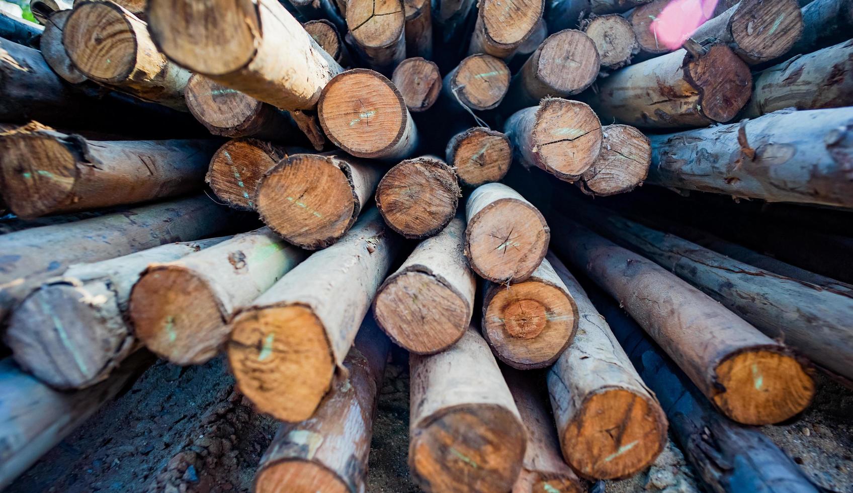Perspective abstract texture and background of wooden timber photo